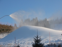 Station les Gentianes - Morbier